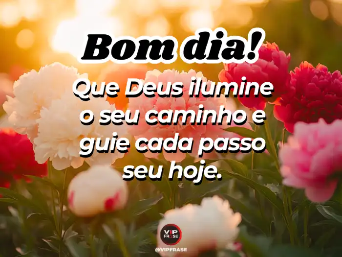 Mensagens de bom dia especial – Que Deus guie cada um de seus passos hoje e sempre.