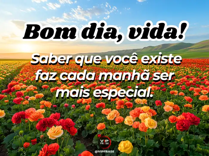 Frases – Você torna cada manhã ainda mais especial.