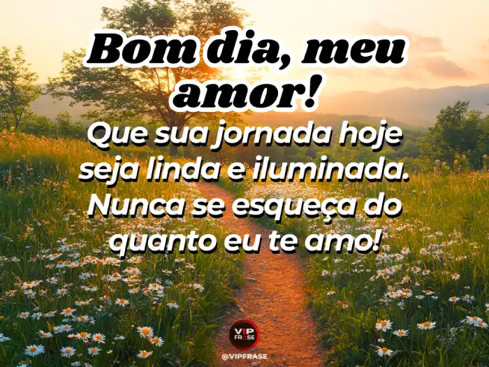 Mensagens de bom dia linda para te lembrar que te amo e que você nunca deve esquecer disso.