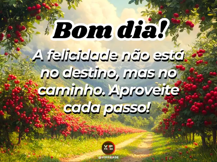 Mensagens de bom dia linda para te lembrar de aproveitar cada passo do seu dia.
