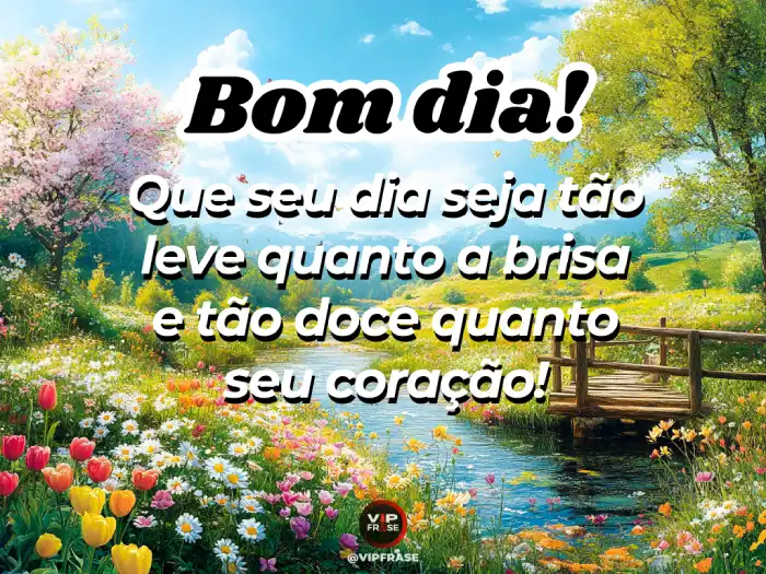 Mensagens de bom dia linda, leve e doce para tocar o coração.