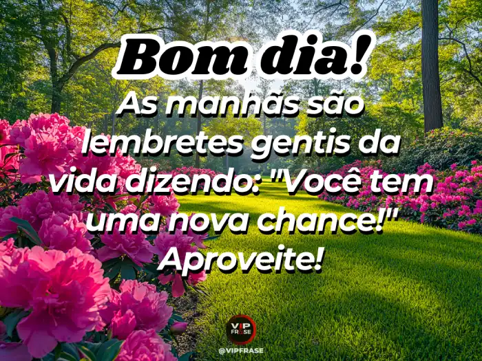 Mensagens de bom dia linda com lembretes gentis para aproveitar a manhã.