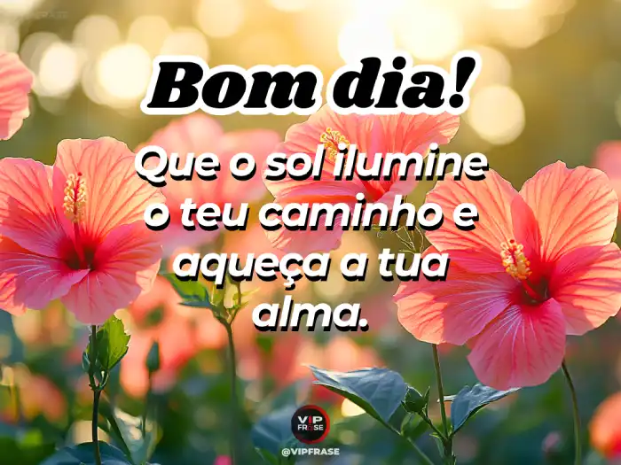 Mensagens de bom dia maravilhoso para pedir que o sol ilumine seu caminho