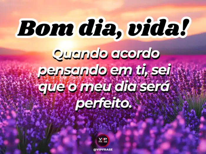 Mensagens de bom dia maravilhoso para começar o dia pensando em você
