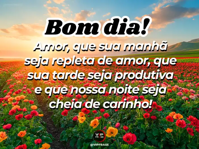 Mensagens de bom dia para alguém especial, com uma manhã repleta de amor e felicidade.