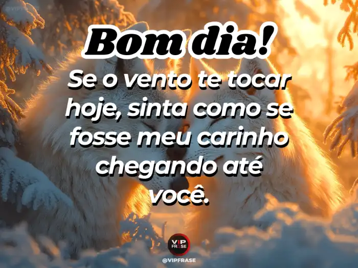 Frases para ganhar o coração de quem você ama, enviando todo o seu carinho até ela.