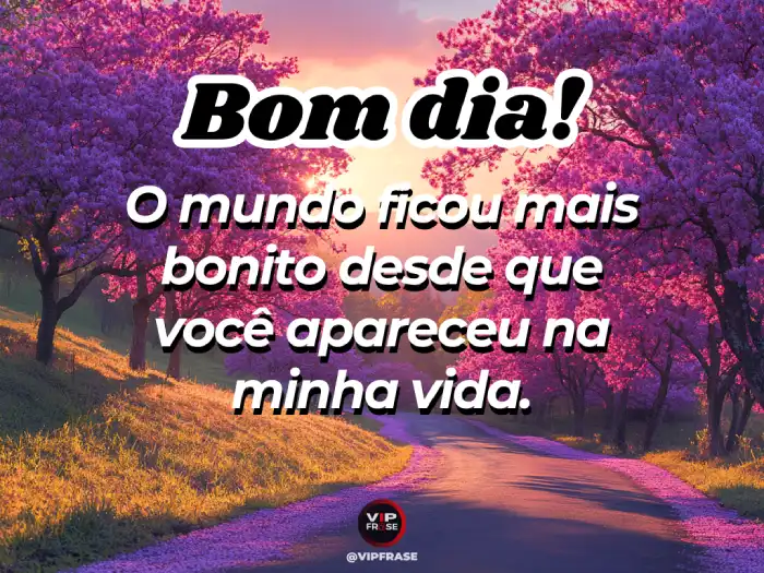 Mensagens de bom dia para conquistar o amor mais bonito e transformar sua vida com positividade.
