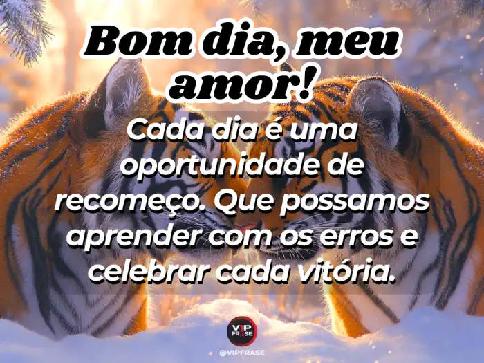 Frases celebrando vitórias.