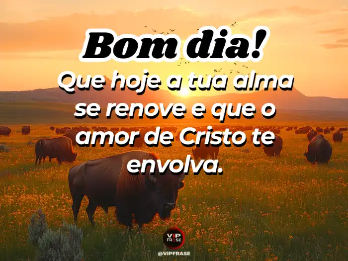 Frase: alma se renove, amor de Cristo envolva você.