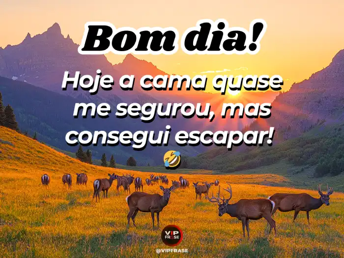 Novas mensagem de bom dia: hoje a cama quase me segurou, mas a determinação venceu!