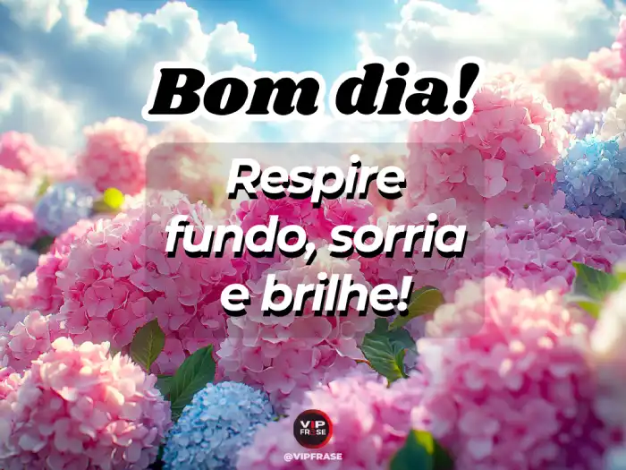 Frase: respire fundo, sorria e brilhe!
