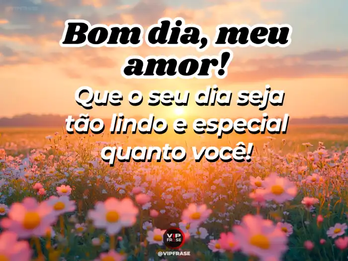 Umas mensagens de bom dia para celebrar o amor e tornar o dia mais lindo e especial
