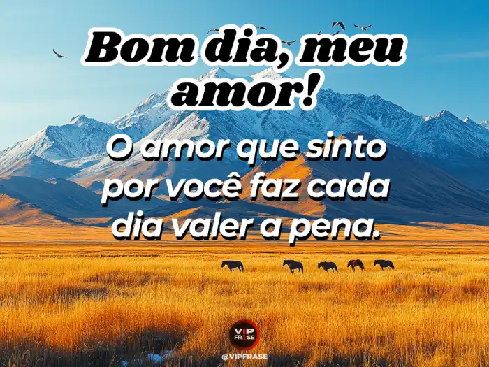 Umas mensagens de bom dia para demonstrar que o amor sentido por alguém especial faz tudo valer a pena