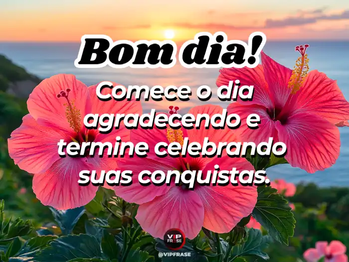 Umas mensagens de bom dia para começar agradecendo e terminar celebrando cada momento do dia