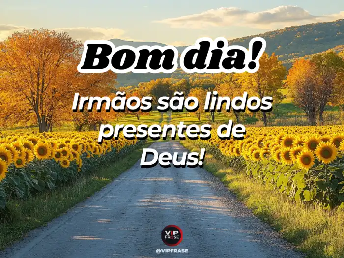 Bom dia abençoado! Irmãos lindos, presentes de Deus.