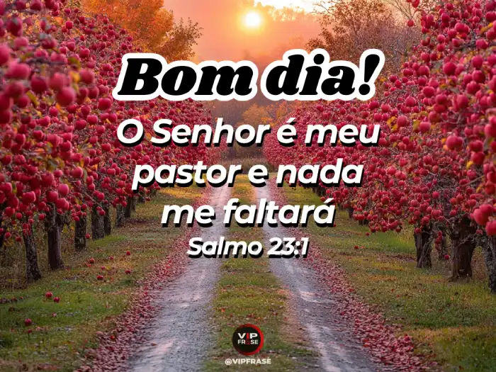 Bom dia abençoado! O Senhor é o meu pastor, como diz Salmo 23:1.