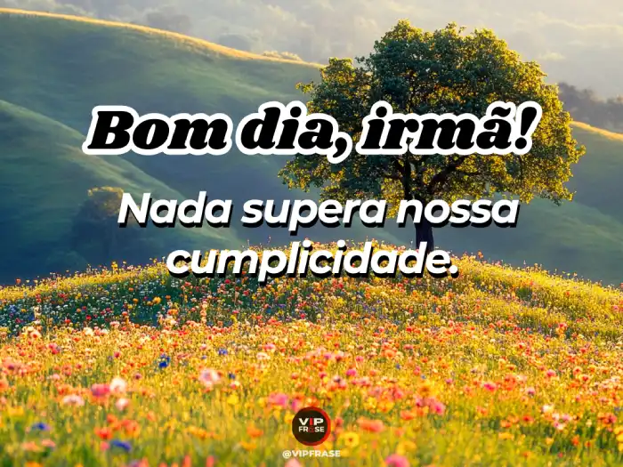 Mensagem de bom dia com carinho frase sobre o vínculo e a cumplicidade entre irmãs que nada pode superar.
