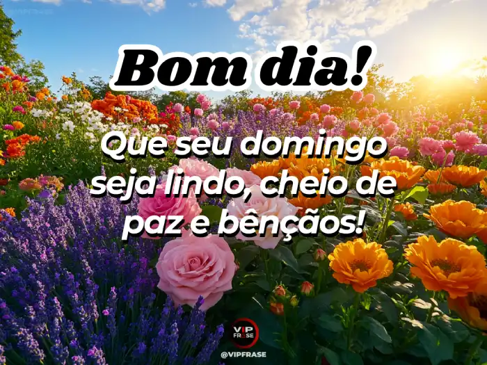 Bom dia domingo abençoado mensagem desejando um dia lindo, cheio de paz e bênçãos.