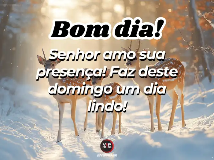 Bom dia domingo! Frase sobre o Senhor, Seu amor e Sua presença, iniciando o domingo com fé e espiritualidade.
