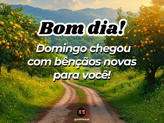 Bom dia domingo! Mensagem de bênçãos novas para você, iniciando o dia com gratidão e fé.