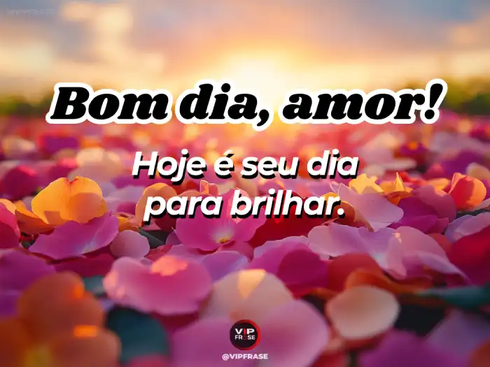 Amor bom dia frase motivacional: hoje é o seu dia para brilhar, meu amor