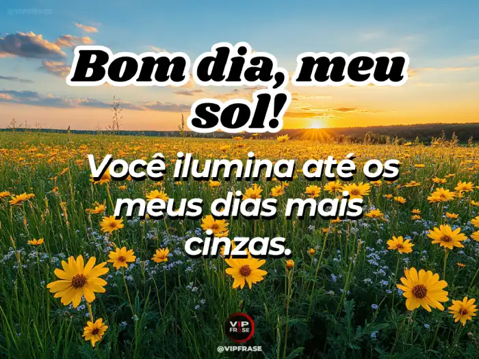 Amor bom dia frase: você ilumina até os dias mais cinzas com seu amor