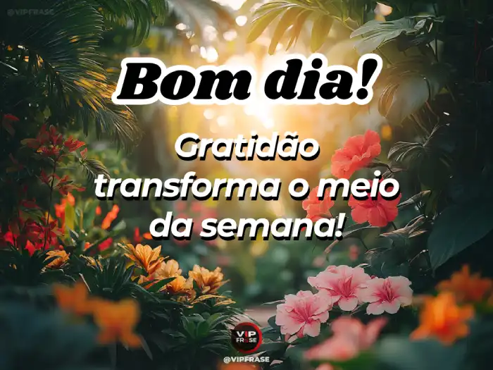 Mensagem de gratidão para transformar a semana e aproveitar o melhor de cada dia.