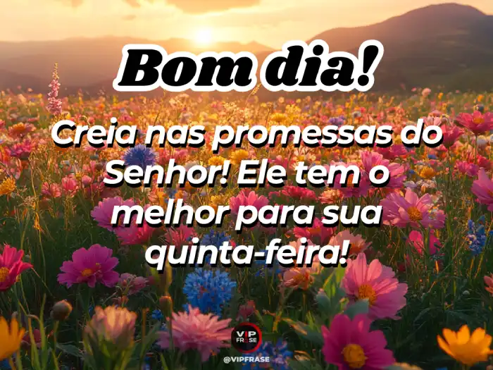 Bom dia quinta feira abençoada mensagem de fé: creia nas promessas do Senhor para sua vida.