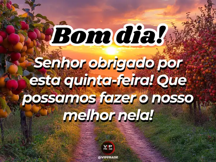 Bom dia quinta feira abençoada mensagem pedindo ao Senhor forças para fazermos o nosso melhor hoje.