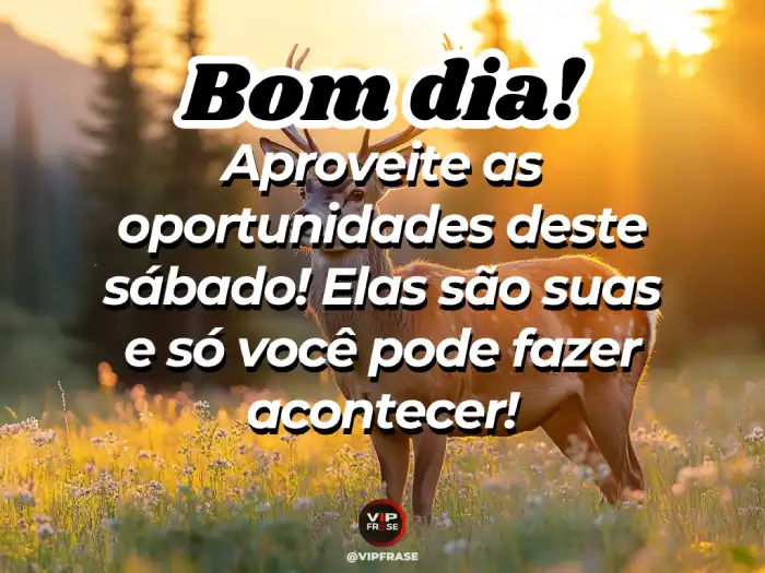 Bom dia sábado: aproveite as oportunidades para fazer acontecer e transformar seu dia.