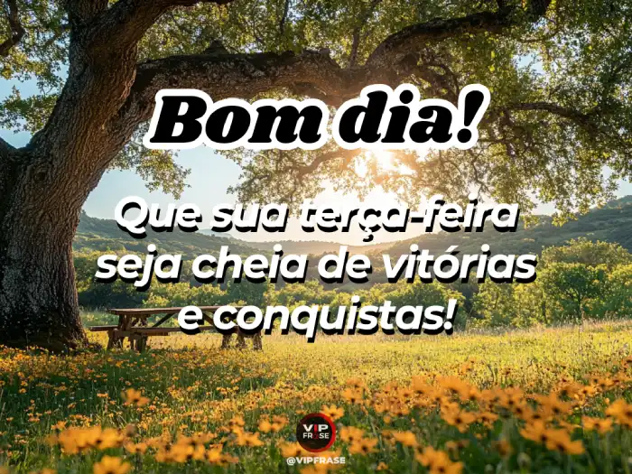 bom dia terça-feira frase cheia de vitórias e conquistas para inspirar sua manhã