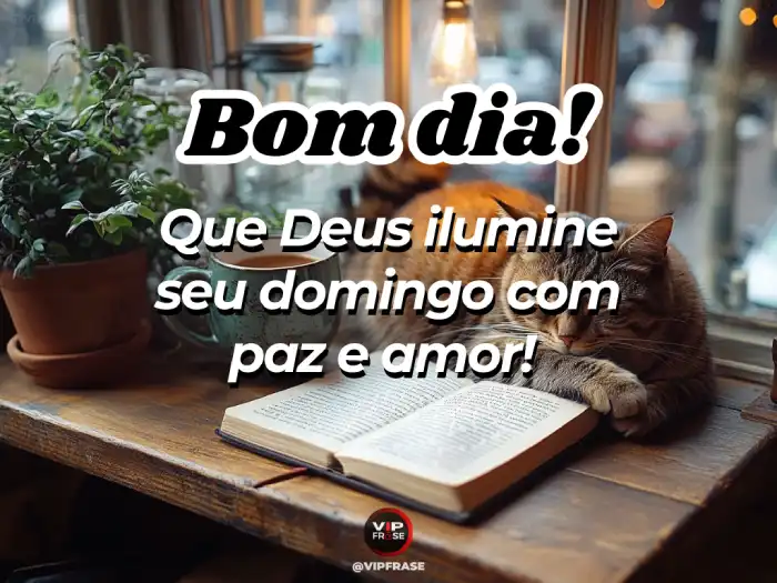 Domingo mensagem de bom dia, que Deus ilumine com paz e amor.