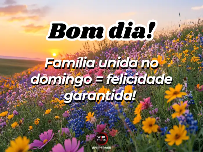 Domingo mensagem de bom dia, família unida e felicidade garantida.