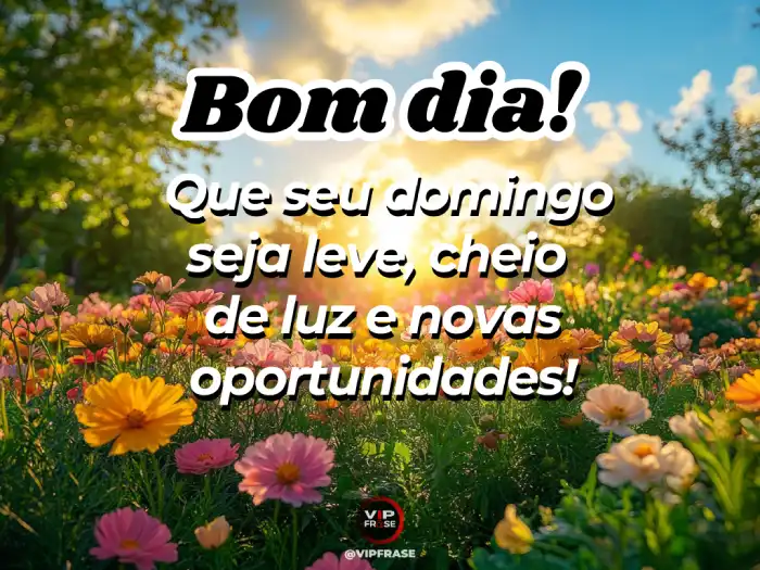Domingo mensagem de bom dia, leve e cheio de luz e oportunidades.