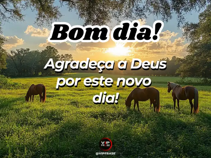 Mensagem de bom dia abençoado, agradeça a Deus por hoje e comece o dia com fé e gratidão.