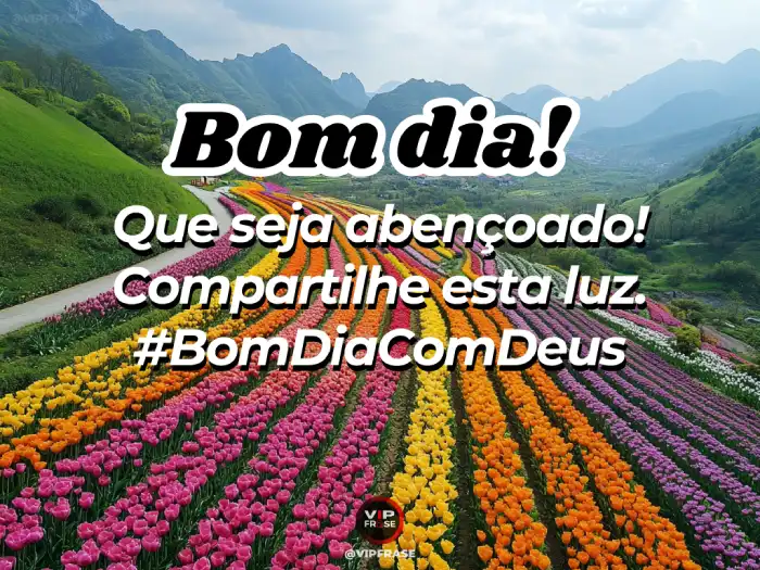 Mensagem de bom dia abençoado por Deus, compartilhe essa luz com seus amigos e familiares.