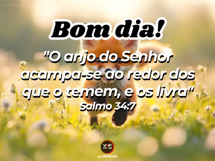 Mensagem de bom dia abençoado com Salmo 34:7, 'O anjo do Senhor acampa-se ao redor dos que o temem e os livra', trazendo proteção e paz.