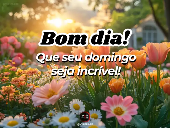 Mensagem de bom dia de domingo com uma imagem inspiradora.