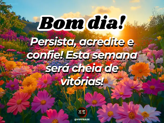 Mensagem de bom dia e ótima semana, persista, acredite, confie