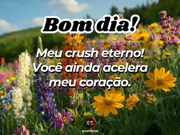 Mensagem de bom dia para alguém especial, meu crush eterno, com muito carinho e admiração.