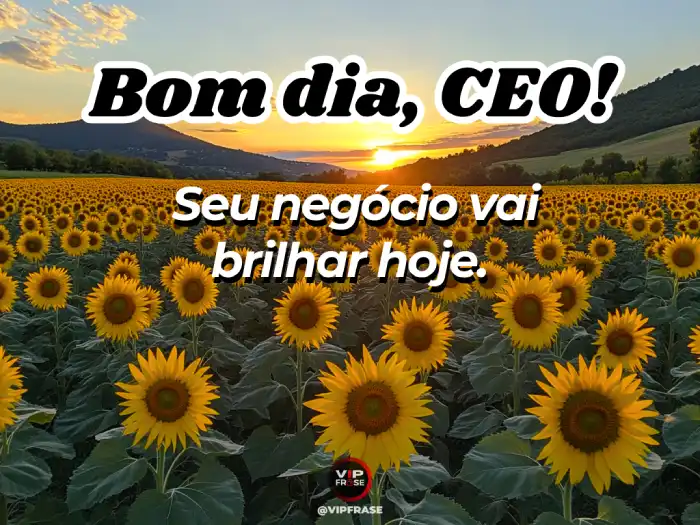 Frase motivacional de amizade empreendedora com texto 'Seu negócio vai brilhar hoje!' em fundo dourado e elementos de sucesso