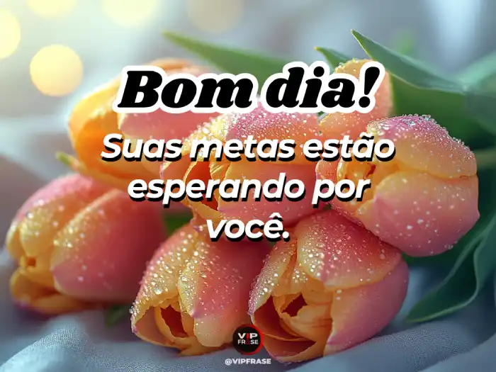 Frase com motivação para correr atrás dos sonhos e metas.