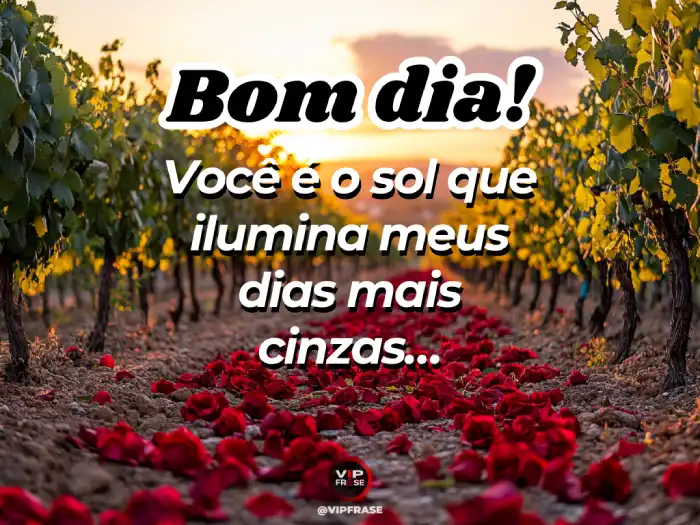 Mensagem de bom dia para conquistar com carinho, chamando a pessoa de sol que ilumina seus dias.