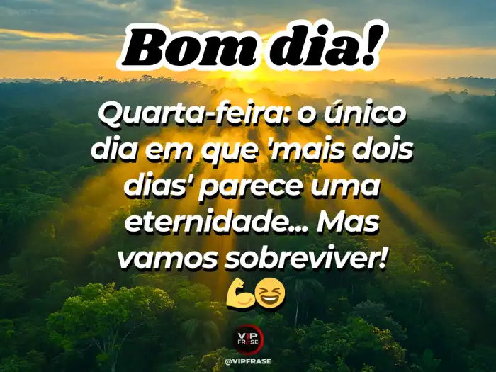 Mensagem de bom dia quarta-feira, motivando a superar desafios e sobreviver com força.
