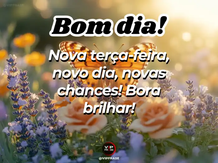 Mensagem de bom dia terça-feira – Novas chances para um novo começo