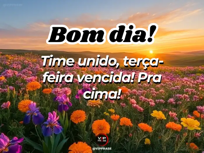 Mensagem de bom dia terça-feira – Time unido, juntos rumo ao sucesso