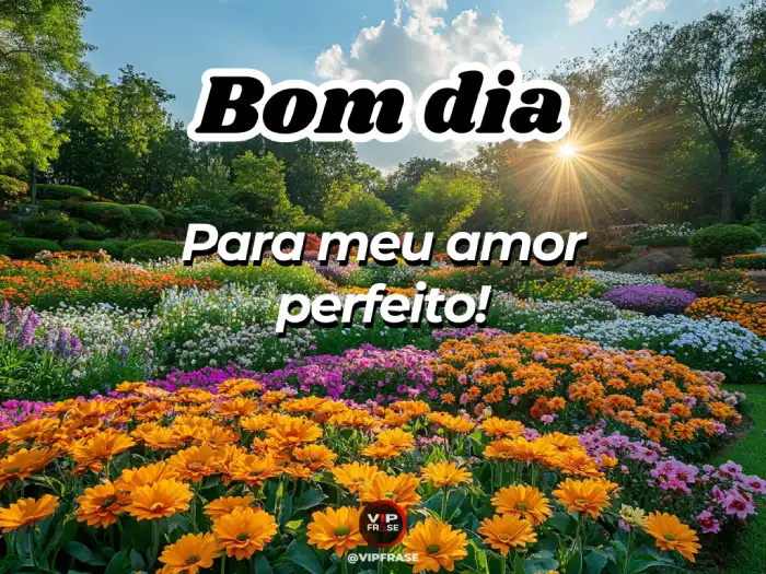 Carinho bom dia mensagem para meu amor perfeito: você completa meu coração