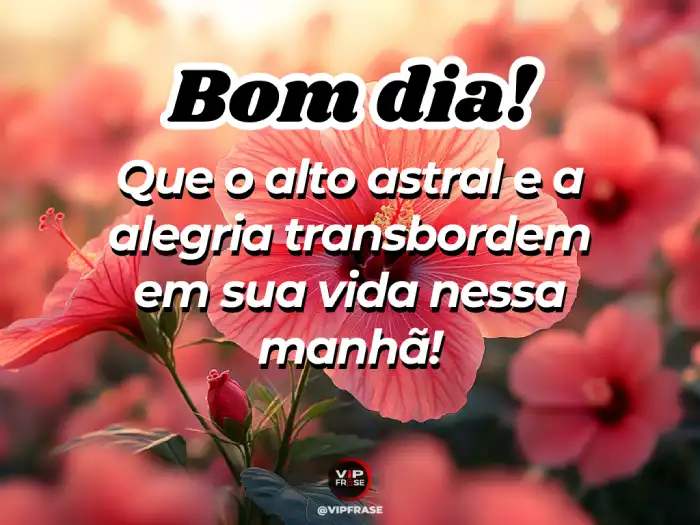 Bom dia mensagem cheia de alto astral: que a alegria transborde na sua vida!