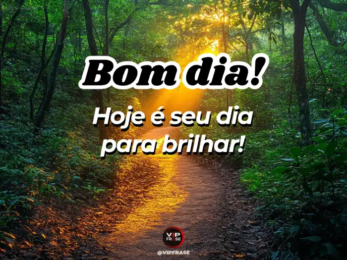 Bom dia mensagem de motivação: hoje é o dia perfeito para você brilhar.