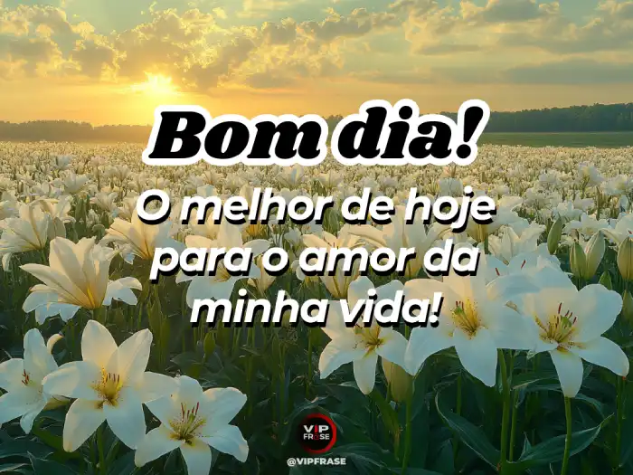 Bom dia mensagem carinhosa desejando que o melhor do dia seja para o amor da minha vida.